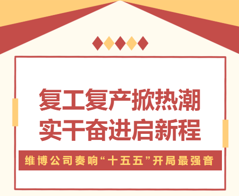 复工复产掀热潮 实干奋进启新程 —— 维博公司奏响 “十五五” 开局最强音